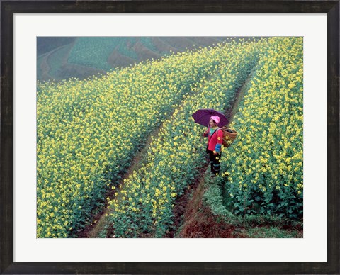 Framed Chinese Woman Walking in Field of Rapeseed near Ping&#39; an Village, Li River, China Print