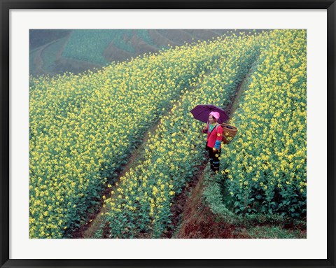 Framed Chinese Woman Walking in Field of Rapeseed near Ping&#39; an Village, Li River, China Print