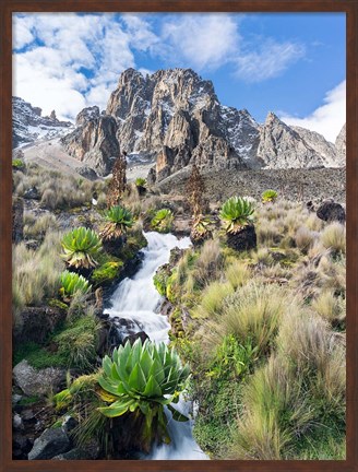 Framed Central Mount Kenya National Park, Kenya Print