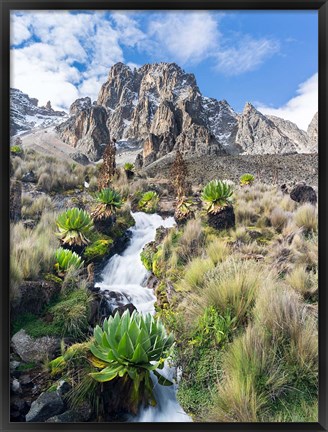 Framed Central Mount Kenya National Park, Kenya Print