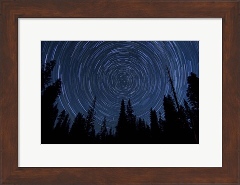 Framed Star trails and a meteor above pine trees in Lassen Volcanic National Park Print