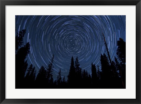 Framed Star trails and a meteor above pine trees in Lassen Volcanic National Park Print