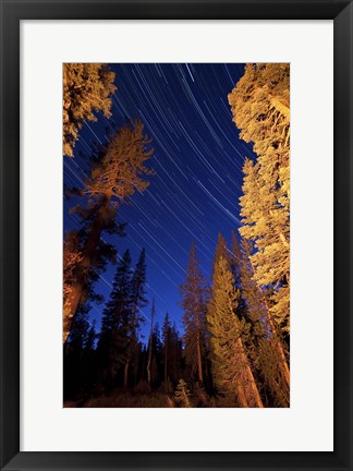 Framed Star trails above campfire lit pine trees in Lassen Volcanic National Park Print