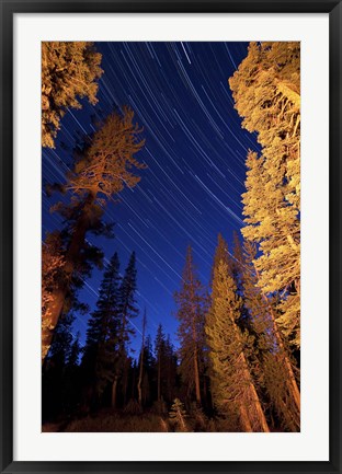 Framed Star trails above campfire lit pine trees in Lassen Volcanic National Park Print