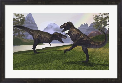 Framed Two Tyrannosaurus Rex dinosaurs fight for the right of a territory Print