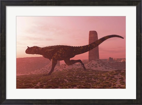 Framed Carnotaurus running in the early morning light on desert terrain Print