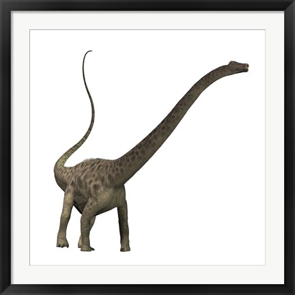 Framed Diplodocus dinosaur Print