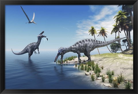 Framed Suchomimus dinosaurs feed on fish on the shoreline Print