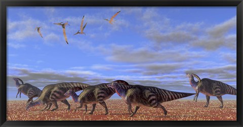 Framed herd of Parasaurolophus dinosaurs Print