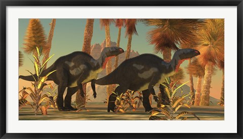 Framed Camptosaurus dinosaurs wander through a prehistoric jungle Print