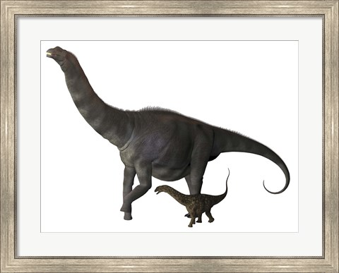 Framed Argentinosaurus and juvenile Print