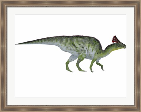 Framed Olorotitan, a duckbilled dinosaur from the Cretaceous Period Print