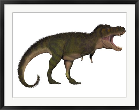 Framed Tyranosaurus Rex, a carnivore of the Cretaceous Period Print