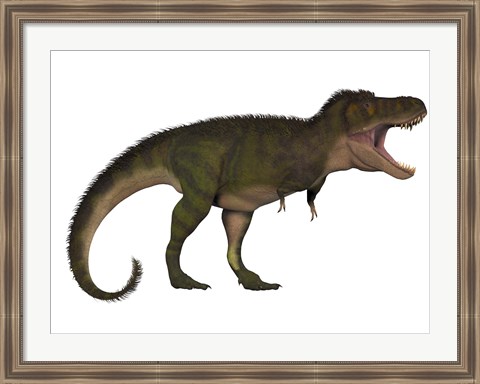 Framed Tyranosaurus Rex, a carnivore of the Cretaceous Period Print