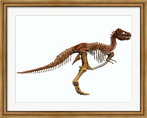 Framed Tyrannosaurus Rex dinosaur skeleton Print