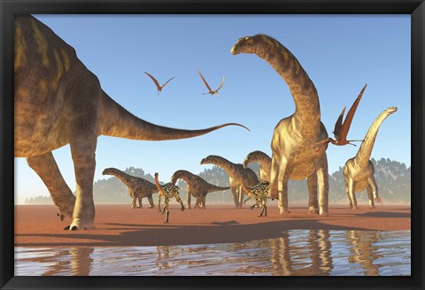 Framed Two Deinocheirus move along with a herd of Argentinosaurus Print