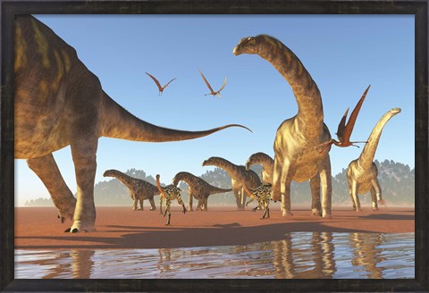 Framed Two Deinocheirus move along with a herd of Argentinosaurus Print