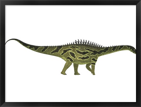 Framed Agustinia ligabuei, a sauropod from the Early Cretaceous Period Print