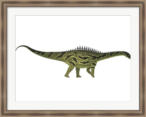 Framed Agustinia ligabuei, a sauropod from the Early Cretaceous Period Print