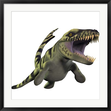 Framed Dakosaurus, white background Print