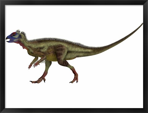 Framed Hypsilophodon is an ornithopod dinosaur from the Cretaceous Period Print