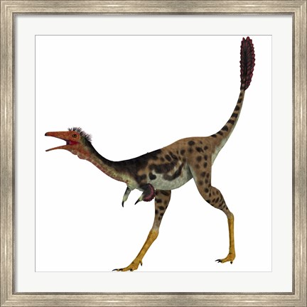 Framed Mononykus, a theropod dinosaur from the late Cretaceous Print