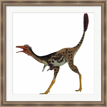 Framed Mononykus, a theropod dinosaur from the late Cretaceous Print