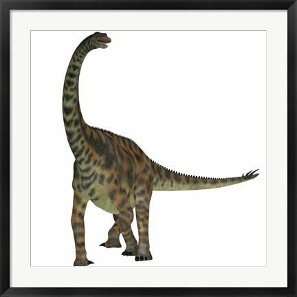 Framed Spinophorosaurus is a sauropod dinosaur from the Jurassic Period Print