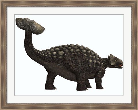 Framed Ankylosaurus, a heavily armored dinosaur from the Cretaceous Period Print