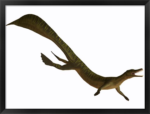 Framed Mesosaurus, an aquatic reptile from the Early Permian period Print