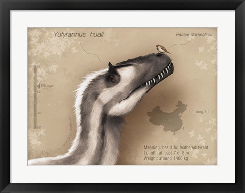 Framed Yutyrannus huali is a feathered tyrannosauroid from the Early Cretacous of China Print