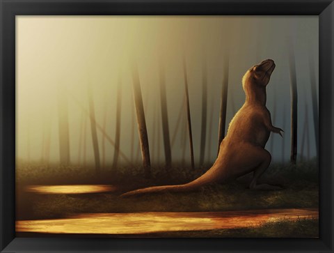 Framed Tyrannosaurus rex sunbathing after the rain Print