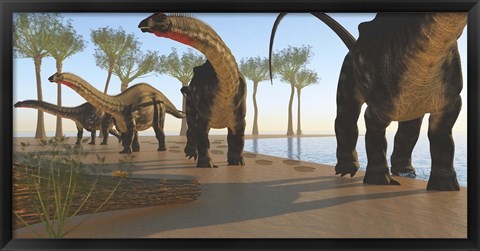 Framed herd of Apatosaurus dinosaurs Print