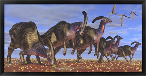 Framed herd of Parasaurolophus dinosaurs searching for vegetation Print