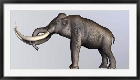 Framed Profile view of Columbian Mammoth Print