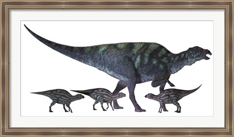 Framed Maiasaura dinosaur with offspring Print