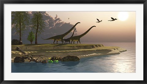Framed Mamenchisaurus dinosaurs walk to a lake for a morning drink Print