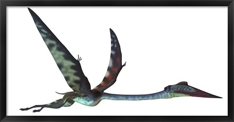 Framed Quetzalcoatlus predatory pterosaur Print