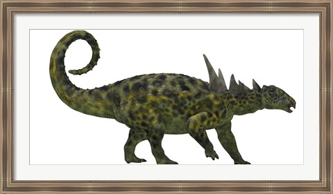 Framed Sauropelta was a heavily armored dinosaur from the Cretaceous Period Print