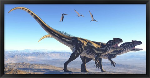 Framed Two Allosaurus dinosaurs look for prey on a high mountain Print