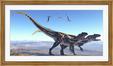 Framed Two Allosaurus dinosaurs look for prey on a high mountain Print
