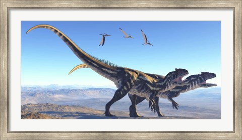 Framed Two Allosaurus dinosaurs look for prey on a high mountain Print