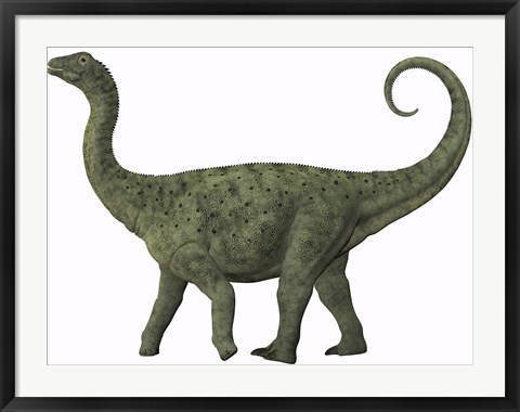 Framed juvenile Saltasaurus sauropod dinosaur of the Cretaceous Period Print