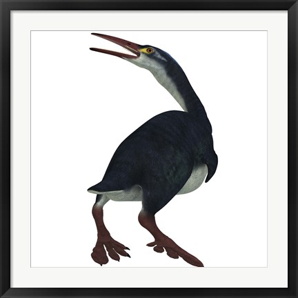 Framed Hesperornis was a a flightless bird that lived during the Cretaceous Period Print