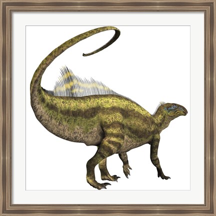 Framed Tenontosaurus dinosaur from the Cretaceous Period Print