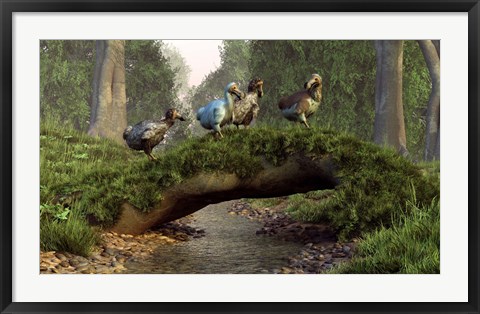 Framed group of Dodo birds crossing a natural bridge over a stream Print