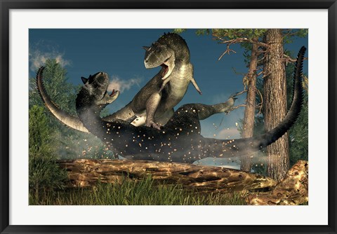 Framed couple of Carnotaurus dinosaurs fighting Print