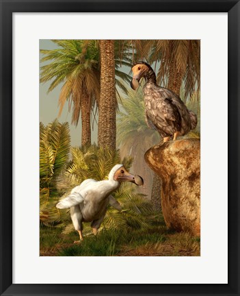 Framed pair of Dodo birds play a game of hide-and-seek Print