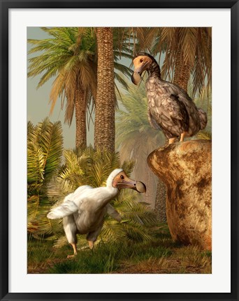 Framed pair of Dodo birds play a game of hide-and-seek Print