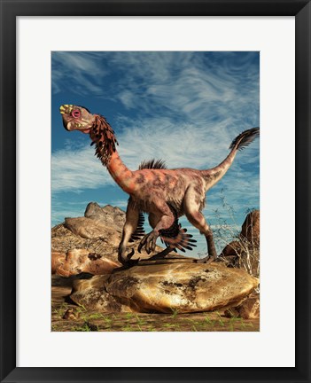 Framed Citipati on a rock in an arid landscape Print